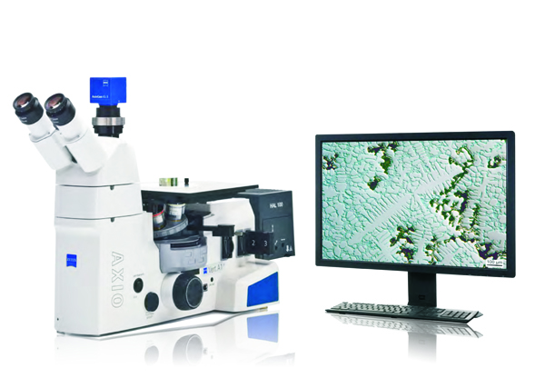 潍坊丰东热处理金相显微镜